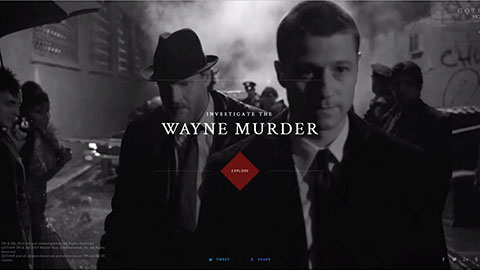 WITNESS GOTHAM | WAYNE MURDER